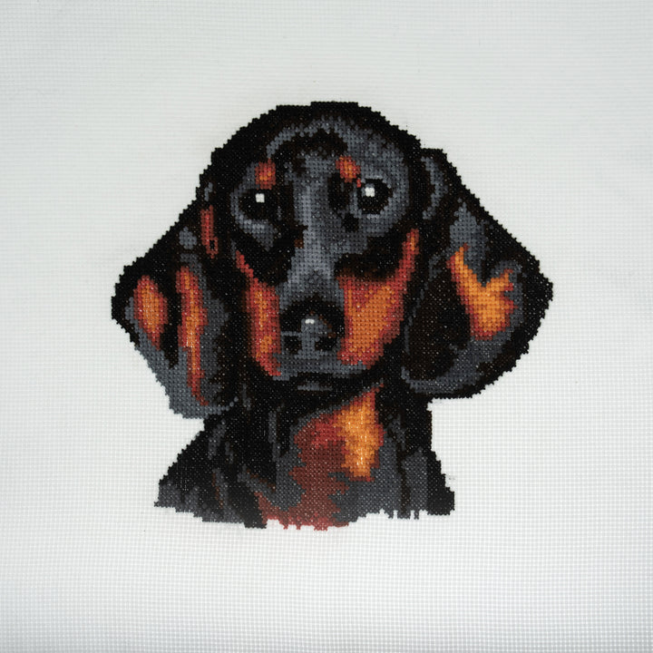 Large Counted Cross Stitch Kit - Dachsund