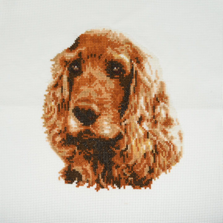 Large Counted Cross Stitch Kit - Cocker Spaniel