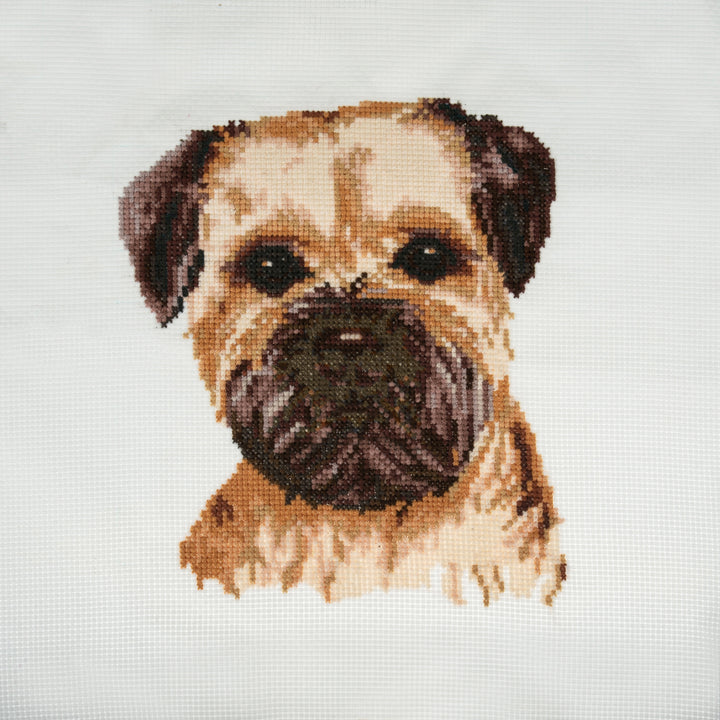 Large Counted Cross Stitch Kit - Border Terrier