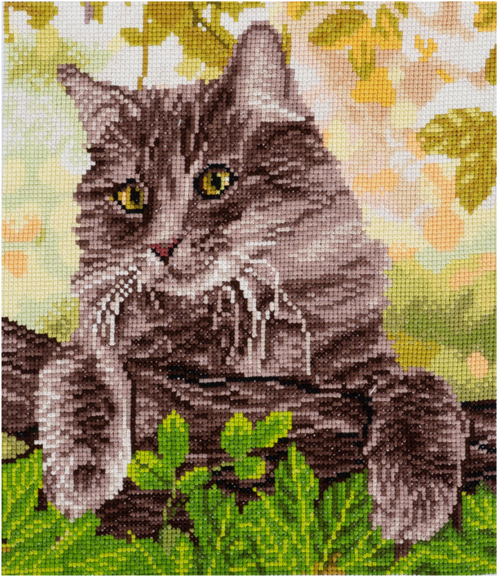 Large Counted Cross Stitch Kit - Cat